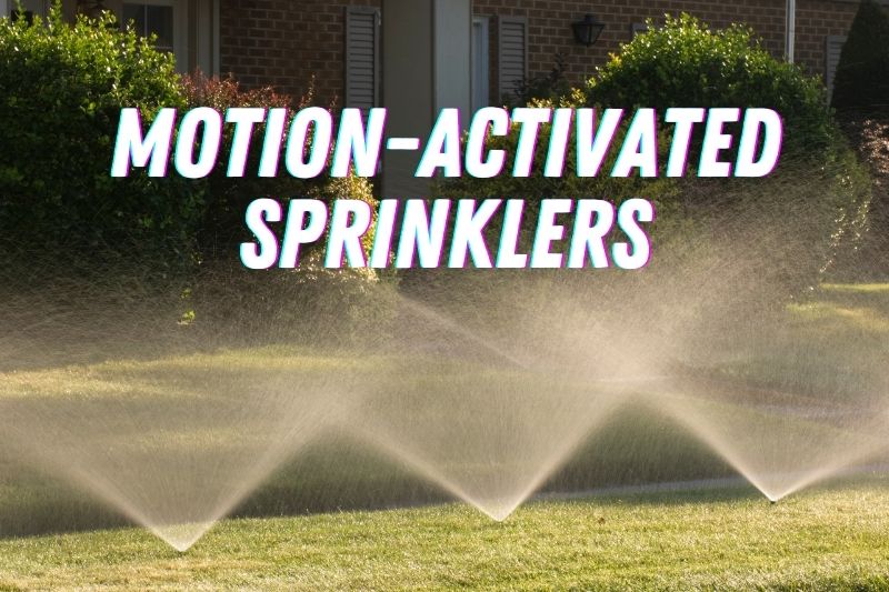 Motion-Activated Sprinklers