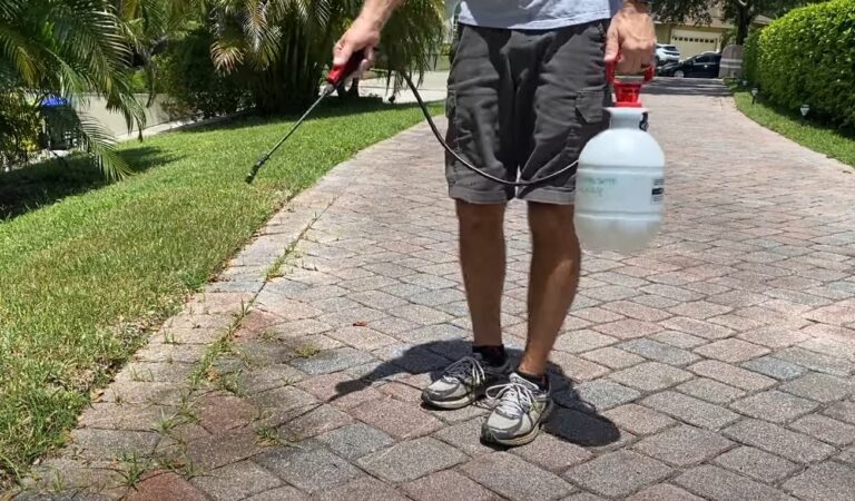 How Does Salting the Earth Prevent Plant Growth?