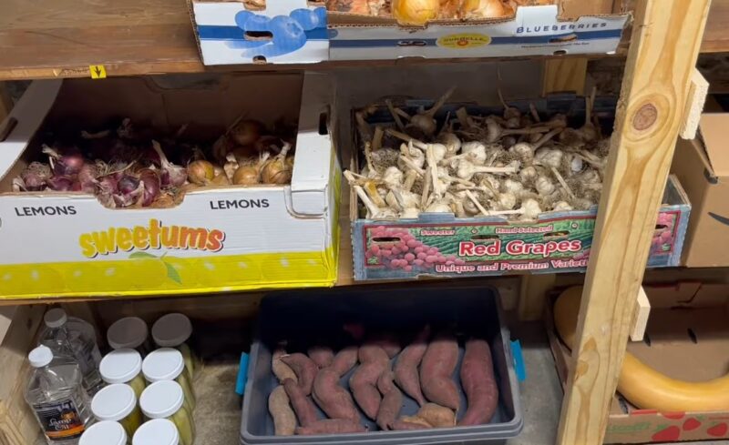 Basement storage full of vegetables