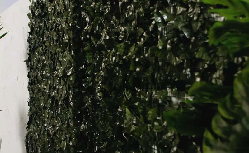 Faux plants on the wall