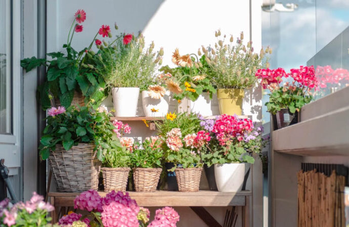 Flowers on the balcony