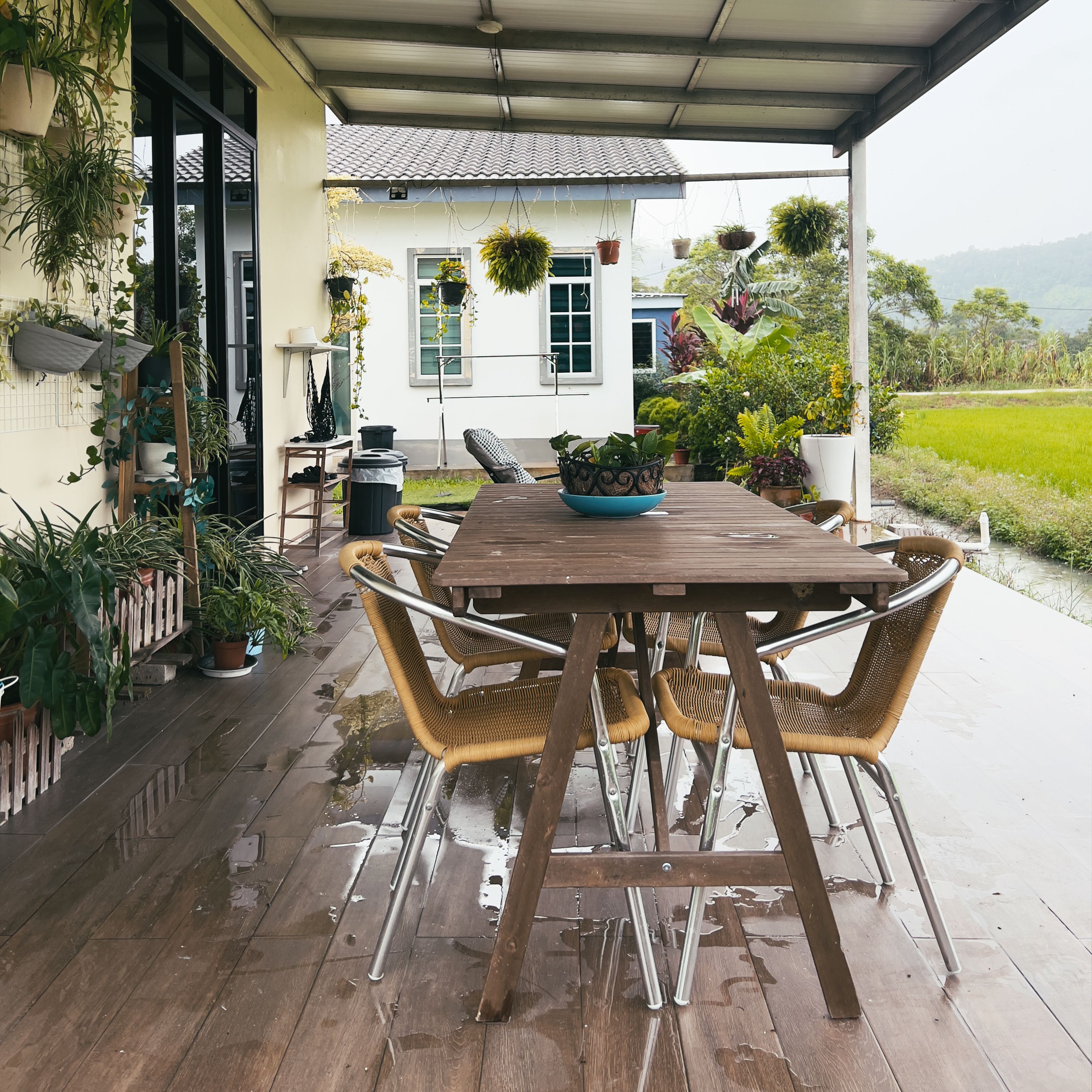 Charming patio with dining setup, lush plants, and countryside view